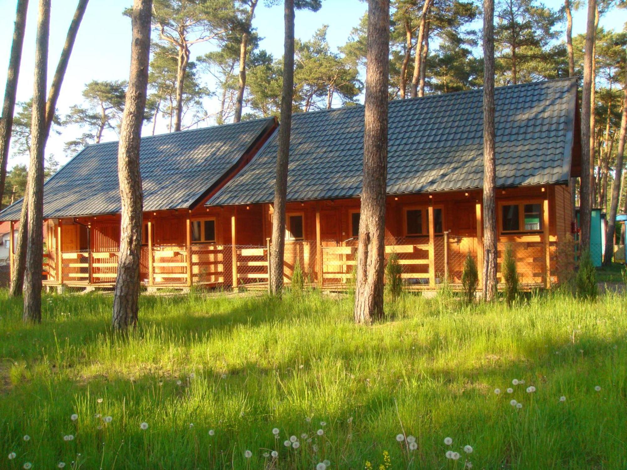 Ow Gabi Villa Мендзиводзе Екстериор снимка